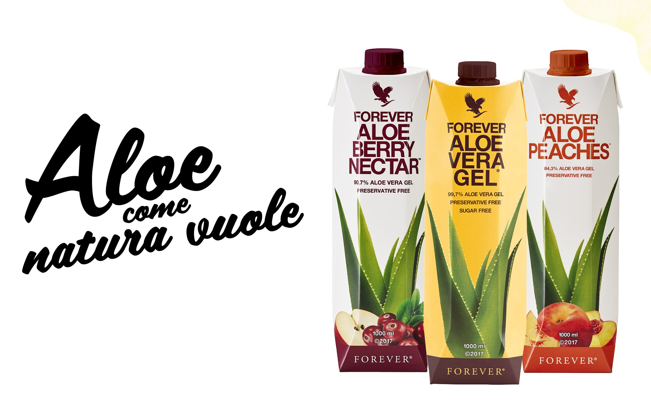 aloe forever tetrapck laura leotta.jpg